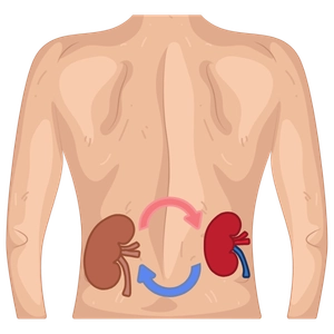 Clínica de Hemodiálisis y Nefrología en Iztapalapa